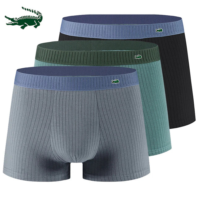 Sous-vêtements Miguel 3 paquets - Image 10